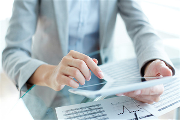 What are the main responsibilities of a financial adviser?